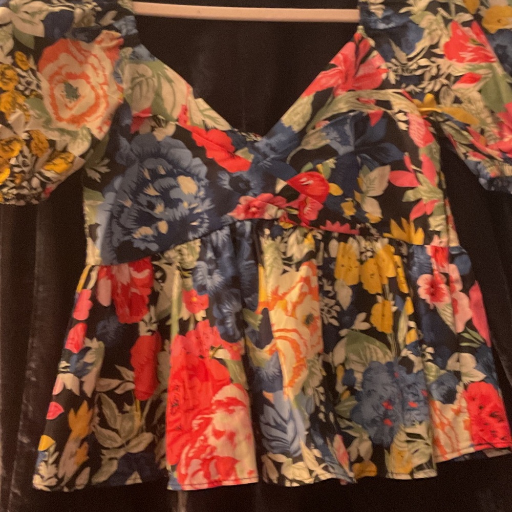 Zara Multicolor Floral V-Neck Blouse